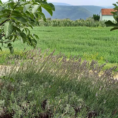 Martina 게스트하우스 3*