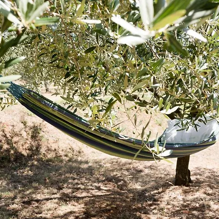 게스트하우스 Martina