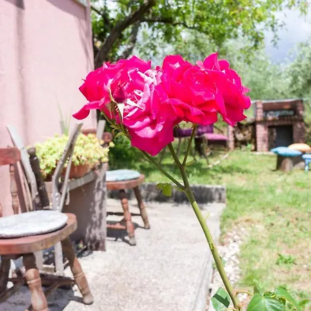 게스트하우스 Martina Gorica (Istria)