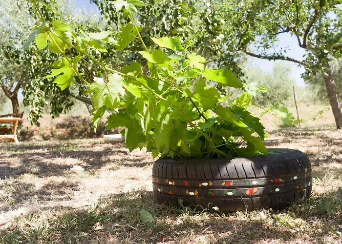 Martina