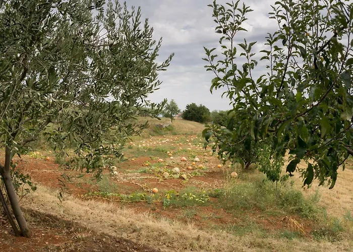 Martina בית הארחה Gorica (Istria)