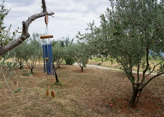 בית הארחה Martina Gorica (Istria)