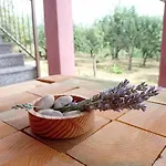 Martina Gorica (Istria)