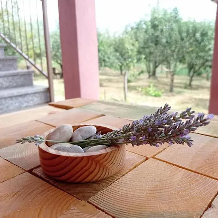 Martina Gorica (Istria)