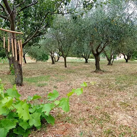 Martina Gostinjska kuća