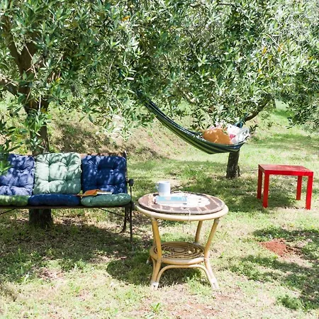 Guest house Martina Gorica (Istria)