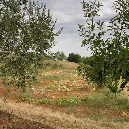 Martina Maison d'hôtes Gorica (Istria)