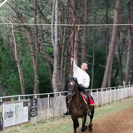 Gostinjska kuća Martina 3*