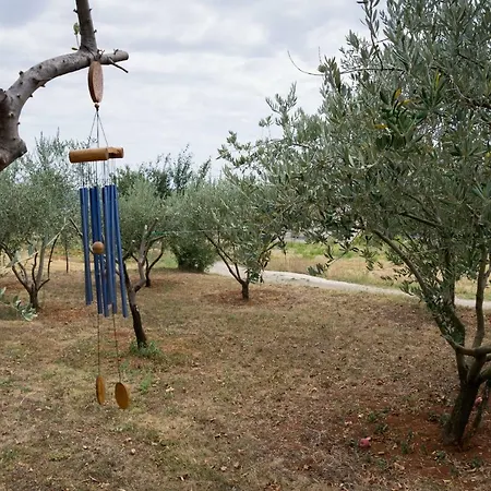 Gostinjska kuća Martina Gorica (Istria)